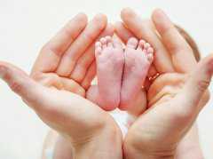 重庆代孕生女孩概率|南平供卵试管助孕机构大全(2023试管婴儿医院成功率预估