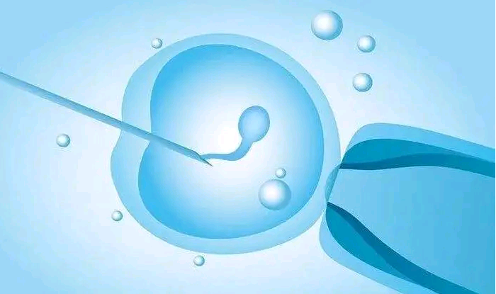 温州供卵试管机构费用 2023年温州可以做三代试管婴儿? ‘怎么通过三级彩超看