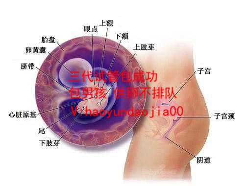 重庆市生殖中心排名_重庆助孕必选重庆天使助孕_怀孕后如何身体冷却发烧